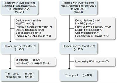 Ultrasound radiomics models based on multimodal imaging feature fusion of papillary thyroid carcinoma for predicting central lymph node metastasis